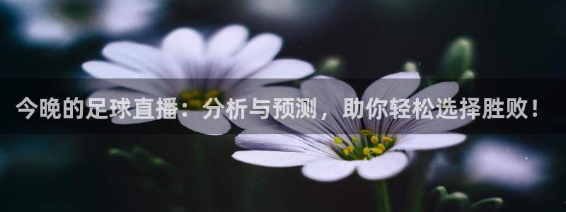 今晚的足球直播：分析与预测，助你轻松选择