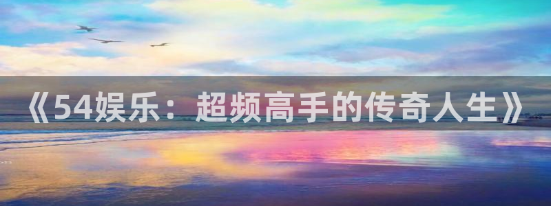 《54娱乐：超频高手的传奇人生》