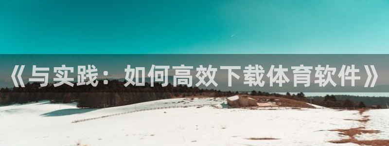 《与实践：如何高效下载体育软件》