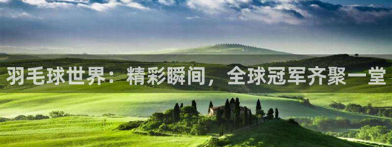 羽毛球世界：精彩瞬间，全球冠军齐聚一堂